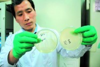 生物基热固性树脂