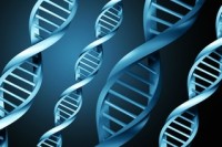 基因组学引领下的“组生物学”发展新趋势