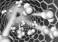 纳米材料的环境行为与相关的科学研究