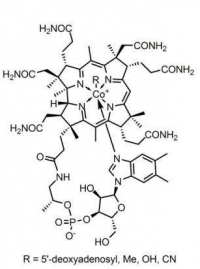 维生素B12