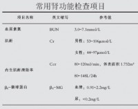 尿素氮偏高的症状及原因