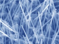 如何研究纳米材料的毒性？