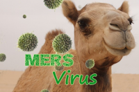 MERS病毒