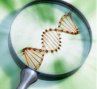 生物酶的制备方法及应用