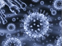 生物医学：新研究称H7N9病毒有流行潜在可能