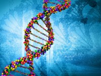 新型肝癌DNA检测手段或改善患者生存率