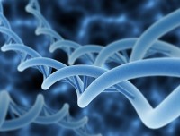 DNA修复机制如何帮助抵御癌症
