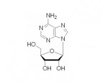 腺苷是什么？及腺苷的药理作用