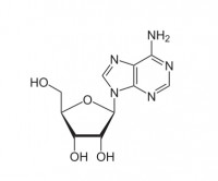 腺苷的贮藏和用途