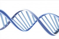 什么是DNA？什么是基因检测？