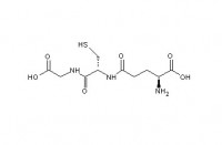 还原型谷胱甘肽的适应症和药理毒理