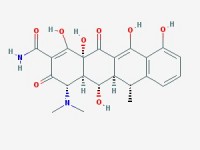 强力霉素医学上的应用及其适应症