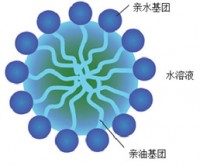 表面活性剂有哪些