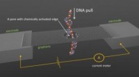 DNA测序方法