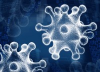 科学家发现免疫细胞活化调控新机制