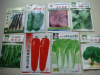 农业蔬菜种子