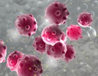 RT-PCR法普遍用于诺如病毒的分子生物学检测