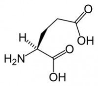 谷氨酸分子图