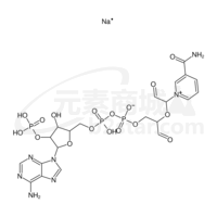 B-nicotinamide adenine dinucleotide*phosphate