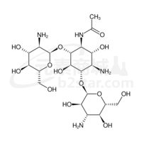 D-Streptamine,O-2-amino-2-deoxy-a-D-glucopyranosyl-(1®4)-O-[3-amino-3-deoxy-a-D-glucopyranosyl-(1®6)]-N3-acetyl- (9CI)