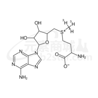 S-adenosyl-L-methionine-methyl-3H