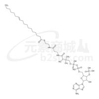S-{17-[5-(6-amino-9H-purin-9-yl)-4-hydroxy-3-(phosphonooxy)tetrahydrofuran-2-yl]-9,13,15-trihydroxy-10,10-dimethyl-13,15-dioxido-4,8-dioxo-12,14,16-trioxa-3,7-diaza-13,15-diphosphaheptadec-1-yl} (11E)-octadec-11-enethioate (non-preferred name)
