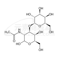 T Antigen