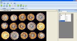 玉米考种分析系统TPKZ-1