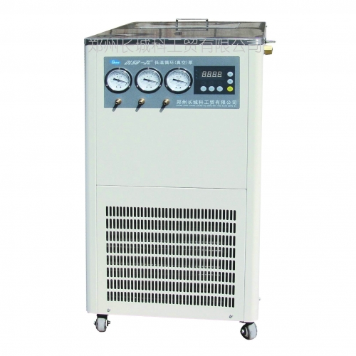 低温循环真空泵DLSB-ZC