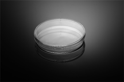 60mm细胞培养皿，TC