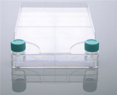 多层细胞培养器，2层，广口