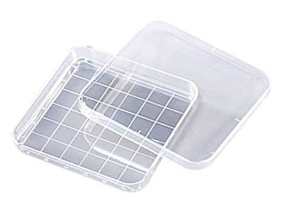 一次性细菌培养皿，100x15 mm