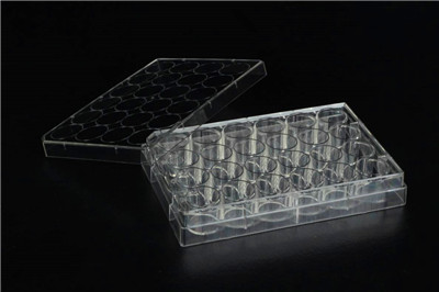 细胞培养板 (纸塑袋装)