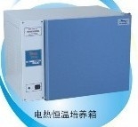 电热恒温培养箱DHP-9082
