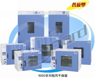 鼓风干燥箱DHG-9140A