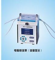 电脑数显恒流泵DHL-B