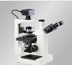 倒置生物显微镜DXS-1