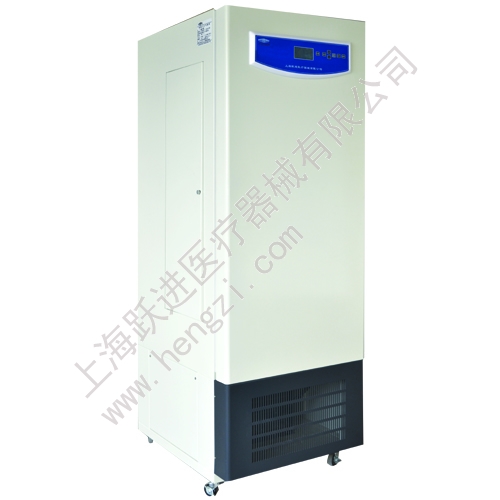 人工气候箱RQX-400H