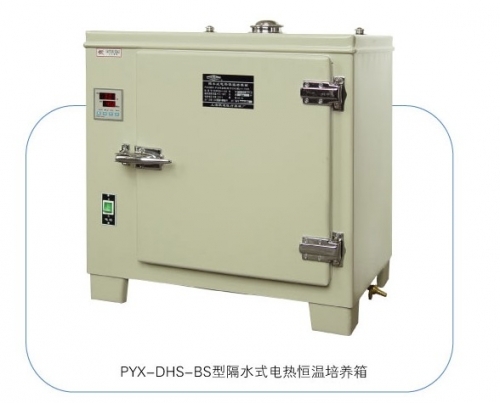 隔水式电热恒温培养箱300-TBS 台式