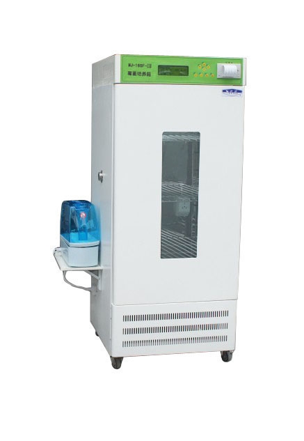 霉菌培养箱MJ-160F-III