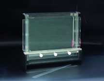 DNA序列分析电泳槽DYCZ-20C